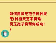 如何用灵芝孢子粉种灵芝(种植灵芝不再难：灵芝孢子粉帮你成功！)