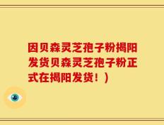 因贝森灵芝孢子粉揭阳发货贝森灵芝孢子粉正式在揭阳发货！)