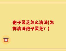 孢子灵芝怎么清洗(怎样清洗孢子灵芝？)