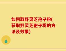 如何取野灵芝孢子粉(获取野灵芝孢子粉的方法及效果)
