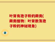 叶背有孢子粉的蕨类(蕨类植物：叶背散发孢子粉的神秘现象)