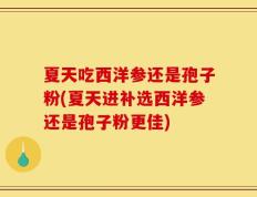 夏天吃西洋参还是孢子粉(夏天进补选西洋参还是孢子粉更佳)