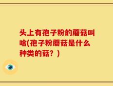 头上有孢子粉的蘑菇叫啥(孢子粉蘑菇是什么种类的菇？)