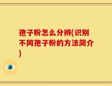 孢子粉怎么分辨(识别不同孢子粉的方法简介)