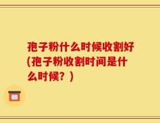 孢子粉什么时候收割好(孢子粉收割时间是什么时候？)