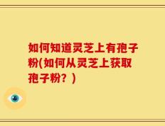 如何知道灵芝上有孢子粉(如何从灵芝上获取孢子粉？)