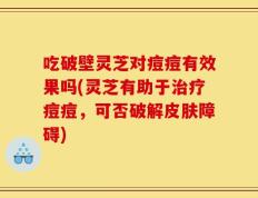 吃破壁灵芝对痘痘有效果吗(灵芝有助于治疗痘痘，可否破解皮肤障碍)