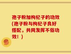 孢子粉加枸杞子的功效(孢子粉与枸杞子良好搭配，共同发挥不俗功效！)