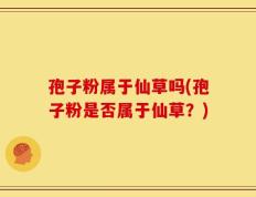 孢子粉属于仙草吗(孢子粉是否属于仙草？)