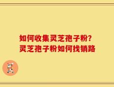 如何收集灵芝孢子粉？灵芝孢子粉如何找销路