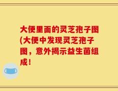 大便里面的灵芝孢子图(大便中发现灵芝孢子图，意外揭示益生菌组成！