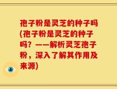 孢子粉是灵芝的种子吗(孢子粉是灵芝的种子吗？——解析灵芝孢子粉，深入了解其作用及来源)