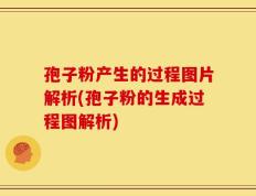 孢子粉产生的过程图片解析(孢子粉的生成过程图解析)