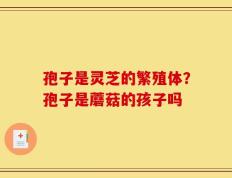 孢子是灵芝的繁殖体？孢子是蘑菇的孩子吗