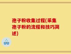 孢子粉收集过程(采集孢子粉的流程和技巧简述)