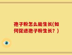 孢子粉怎么能生长(如何促进孢子粉生长？)