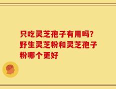 只吃灵芝孢子有用吗？野生灵芝粉和灵芝孢子粉哪个更好