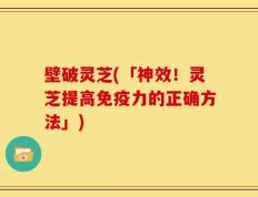 壁破灵芝(「神效！灵芝提高免疫力的正确方法」)