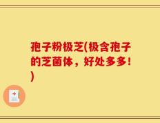 孢子粉极芝(极含孢子的芝菌体，好处多多！)