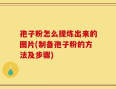 孢子粉怎么提炼出来的图片(制备孢子粉的方法及步骤)