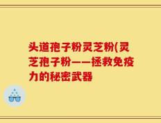 头道孢子粉灵芝粉(灵芝孢子粉——拯救免疫力的秘密武器