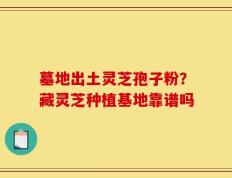 墓地出土灵芝孢子粉？藏灵芝种植基地靠谱吗