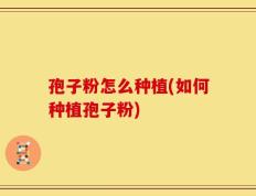 孢子粉怎么种植(如何种植孢子粉)