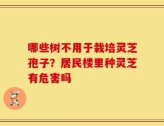 哪些树不用于栽培灵芝孢子？居民楼里种灵芝有危害吗