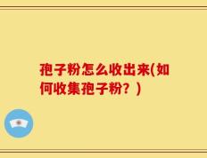 孢子粉怎么收出来(如何收集孢子粉？)