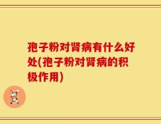 孢子粉对肾病有什么好处(孢子粉对肾病的积极作用)