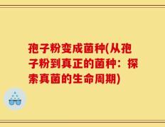 孢子粉变成菌种(从孢子粉到真正的菌种：探索真菌的生命周期)