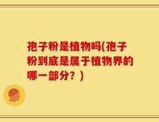 孢子粉是植物吗(孢子粉到底是属于植物界的哪一部分？)