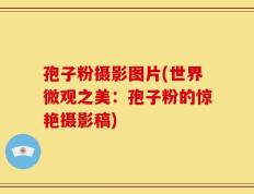 孢子粉摄影图片(世界微观之美：孢子粉的惊艳摄影稿)