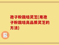 孢子粉栽培灵芝(用孢子粉栽培高品质灵芝的方法)