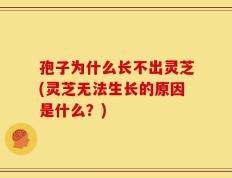 孢子为什么长不出灵芝(灵芝无法生长的原因是什么？)
