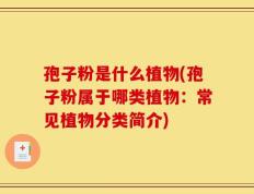 孢子粉是什么植物(孢子粉属于哪类植物：常见植物分类简介)