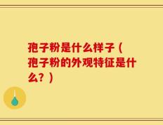 孢子粉是什么样子 (孢子粉的外观特征是什么？)