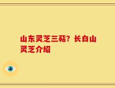 山东灵芝三萜？长白山灵芝介绍