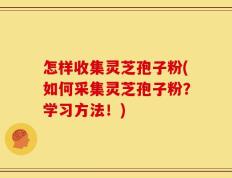 怎样收集灵芝孢子粉(如何采集灵芝孢子粉？学习方法！)