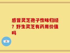 感冒灵芝孢子性味归经？野生灵芝有药用价值吗