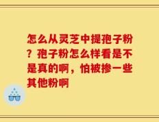 怎么从灵芝中提孢子粉？孢子粉怎么样看是不是真的啊，怕被掺一些其他粉啊