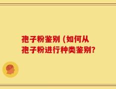 孢子粉鉴别 (如何从孢子粉进行种类鉴别？