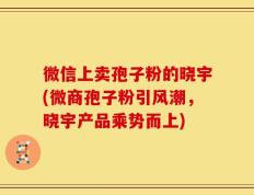 微信上卖孢子粉的晓宇(微商孢子粉引风潮，晓宇产品乘势而上)