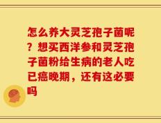 怎么养大灵芝孢子菌呢？想买西洋参和灵芝孢子菌粉给生病的老人吃已癌晚期，还有这必要吗
