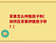 家里怎么种植孢子粉(如何在家里种植孢子粉？)