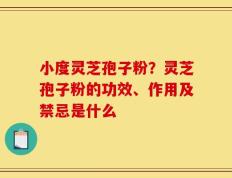小度灵芝孢子粉？灵芝孢子粉的功效、作用及禁忌是什么