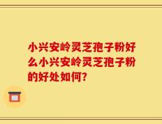 小兴安岭灵芝孢子粉好么小兴安岭灵芝孢子粉的好处如何？