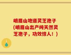 峨眉山地道灵芝孢子 (峨眉山出产纯天然灵芝孢子，功效惊人！)