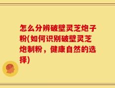 怎么分辨破壁灵芝炮子粉(如何识别破壁灵芝炮制粉，健康自然的选择)