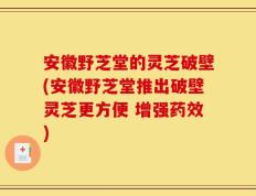 安徽野芝堂的灵芝破壁(安徽野芝堂推出破壁灵芝更方便 增强药效)